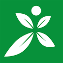 文班亚马绝杀马刺锁定季后赛，太阳高兴了一晚上，天亮哭了